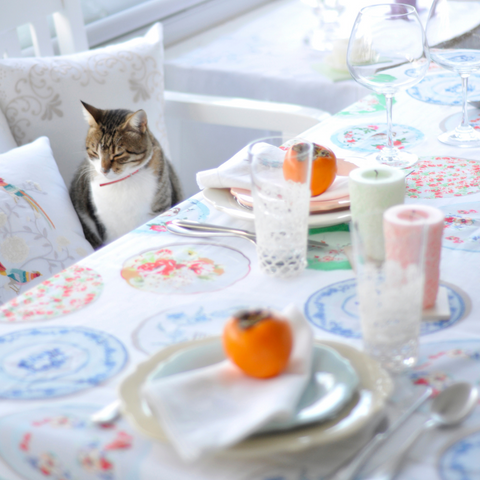 Lina Linen Stain Resistant Table Cloth Plate