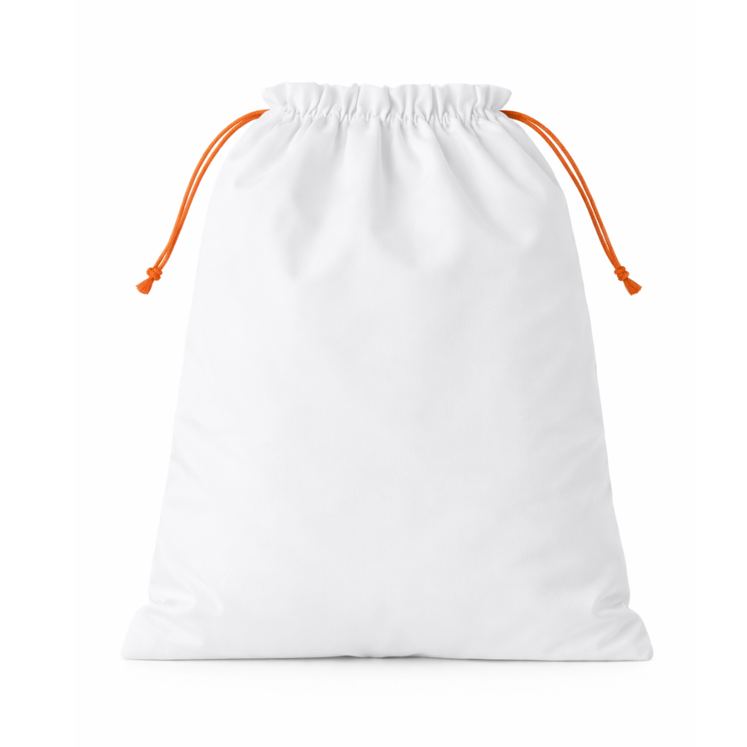 Larry Shoe Bag Blue