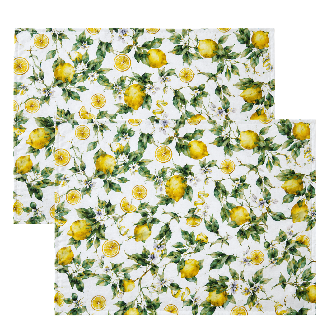 Lemonade Reçine Kaplamalı Leke Tutmaz Keten Amerikan Servisi 30x50 cm (2'li Set)