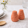 Ceramic Salt and Pepper Shaker Salmon