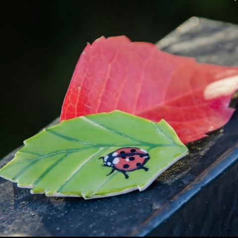 Ladybug Handmade Ceramic Brooch - Lapel Pin