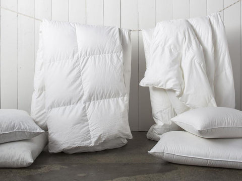 Cindy Microfiber Pillow 50x70 cm