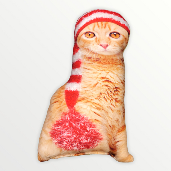 Fancy 3D Cat Pillow